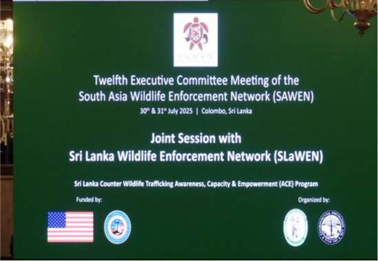SAWEN NEWS