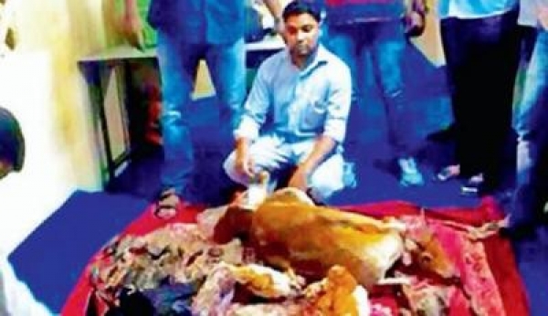 Black buck meat on sale in Old City, police bust racket