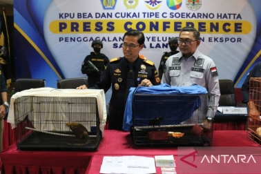 Customs arrested Bollywood film producer for smuggling rare animals