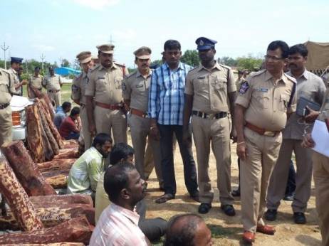 12 red sanders smugglers of Tamil Nadu arrested in Chittoor