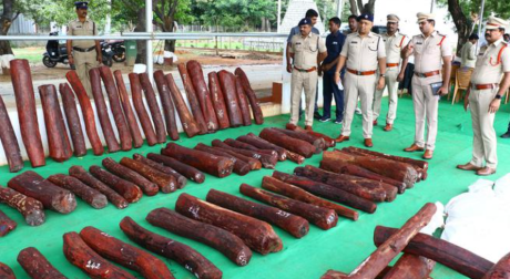 Red sanders smuggler held, 51 logs seized in Tirupati district
