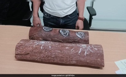 Vietnamese Man With Red Sandalwood Arrested At Delhi Airport