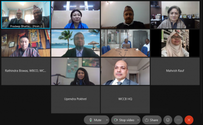 Eighth Executive Committee Meeting of SAWEN held virtually
