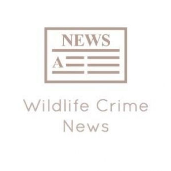 Poaching, smuggling of endangered species rampant in Bajura villages