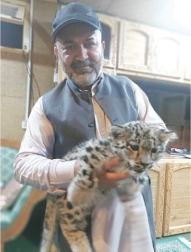 Snow leopard cub sold in black market recovered