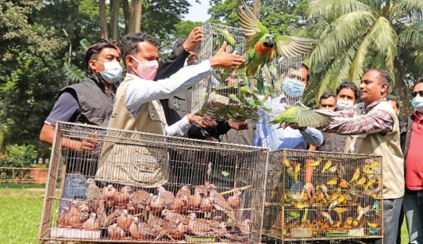 710 birds rescued in Savar; four poachers jailed