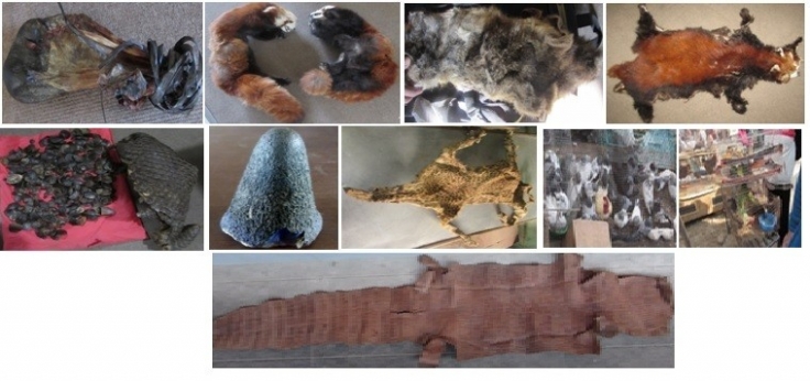 Operation Thunderbird concluded in Nepal