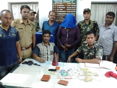 Smuggler caught In Nagarakata with Rhino Horn