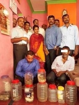 Man arrested for selling snake venom; 13 reptiles rescued