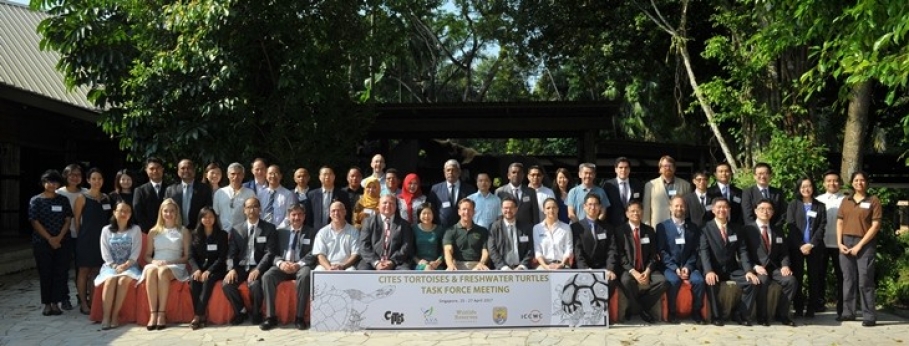SAWEN participates in CITES TFT task force meeting