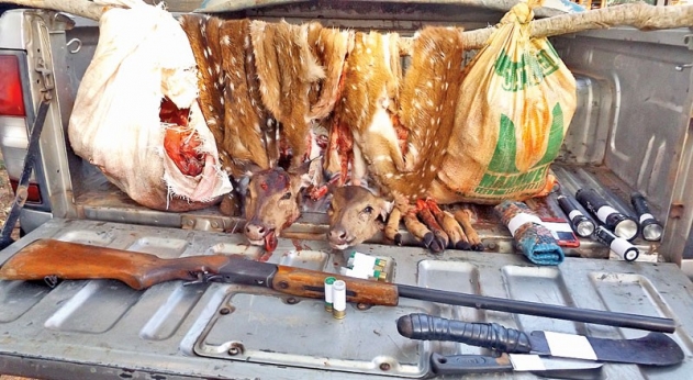 Criminal gang busted