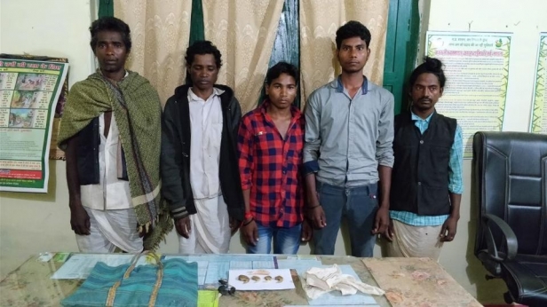 Forest officer poses as priest, nabs poachers