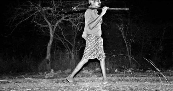 Two elephants meet gory end