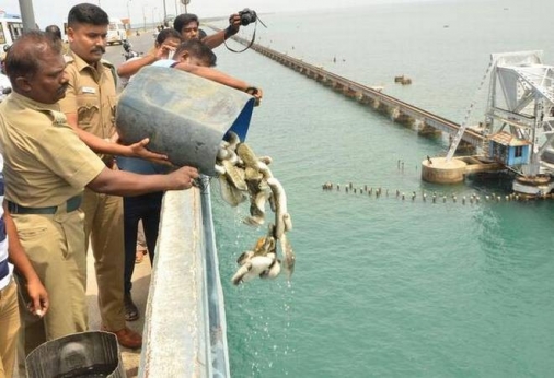 380 kg of sea cucumber seized