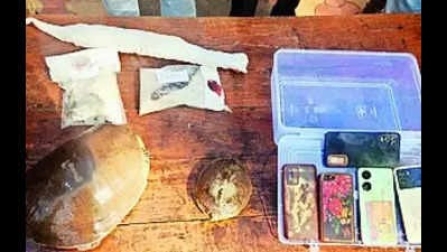 Gang poaching wild animals to perform black magic busted