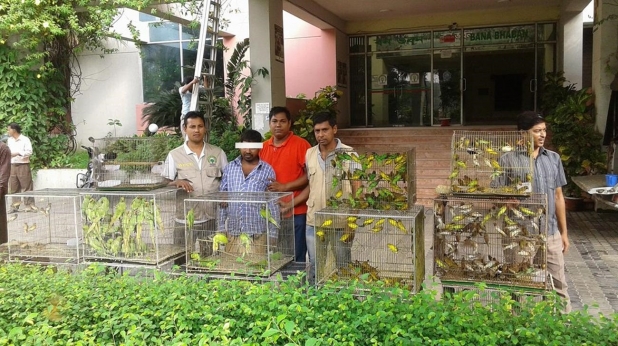 600 birds seized from Savar