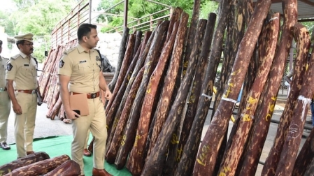 4 arrested for smuggling red sandalwood in Andhra Pradesh