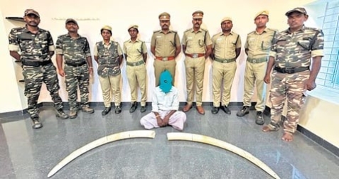 S K'taka poacher arrested for killing 18-year-old tusker in TN's Sathyamangalam Tiger Reserve