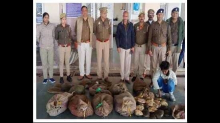 Two smugglers nabbed with 204 turtles