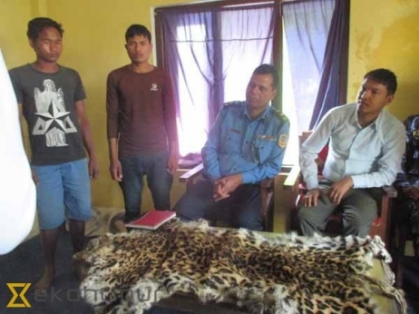 Two held with leopard skin in Kanchanpur