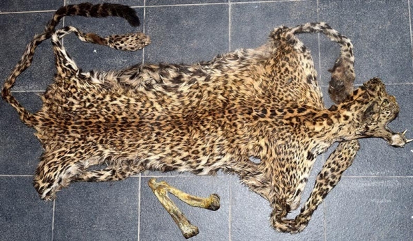 Kalikot man held with leopard skin, bone from Gongabu guesthouse