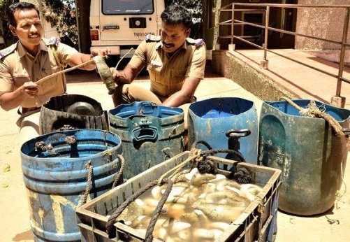 200 kg of sea cucumbers seized; one held