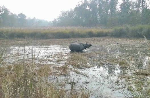 Chitwan National Park losing land to encroachers