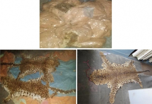 Three arrested for smuggling wild animals’ bones, leopard hides