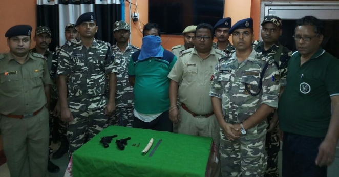 SSB Seizes Armaments & Elephant Tusk, One Arrested