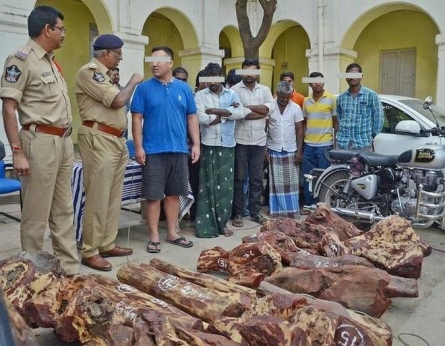 International red sanders smuggler held