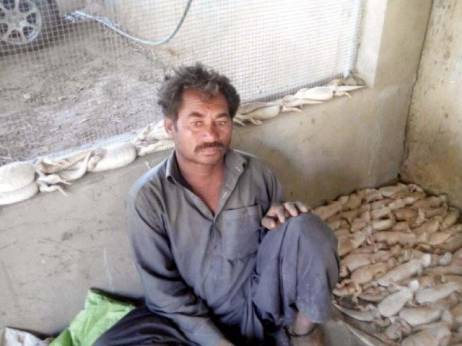 Wildlife officials seize 150 desert lizards