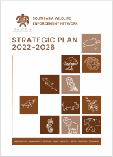 SAWEN Strategic Plan 2022-2026